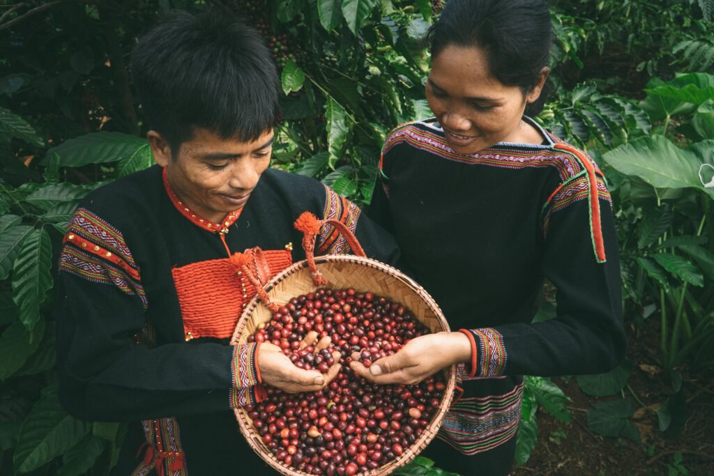 Coffee Plantation in Vietnam