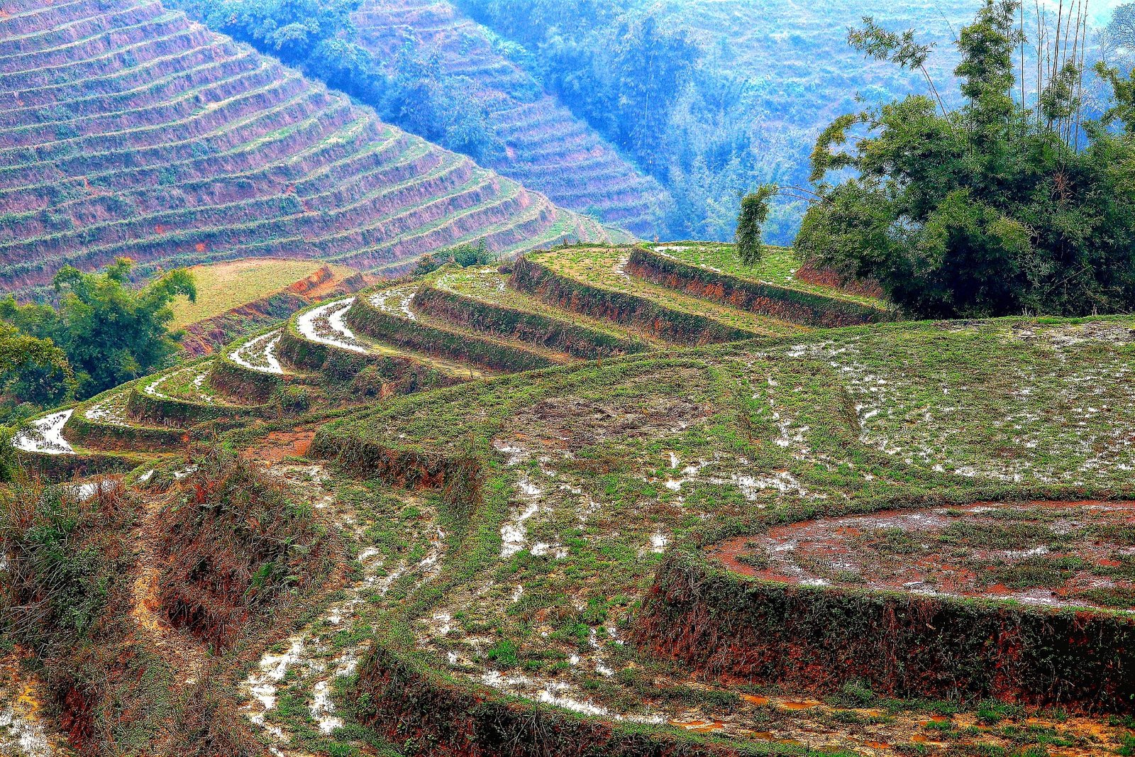 Multi-country — seamless cross-border trips